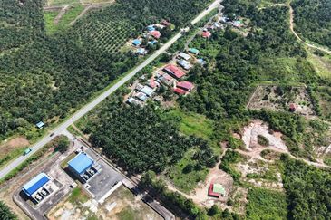 Tanah Sawit 2.9 ekar Kg Sayang Sedili Besar, Tepi Jalan Besar