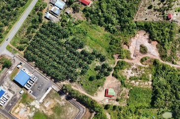 Tanah Sawit 2.9 ekar Kg Sayang Sedili Besar, Tepi Jalan Besar