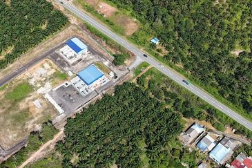 Tanah Sawit 2.9 ekar Kg Sayang Sedili Besar, Tepi Jalan Besar