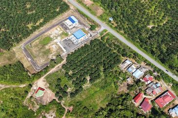 Tanah Sawit 2.9 ekar Kg Sayang Sedili Besar, Tepi Jalan Besar