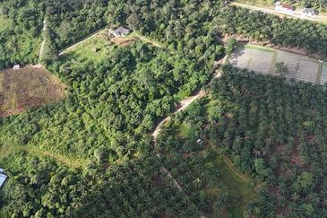 Tanah Sawit 2.9 ekar Kg Sayang Sedili Besar, Tepi Jalan Besar