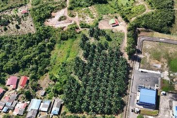 Tanah Sawit 2.9 ekar Kg Sayang Sedili Besar, Tepi Jalan Besar