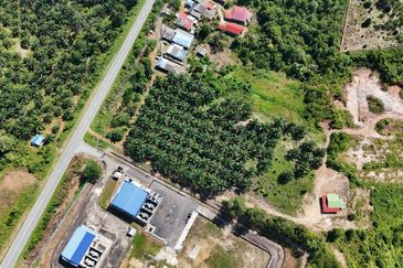 Tanah Sawit 2.9 ekar Kg Sayang Sedili Besar, Tepi Jalan Besar