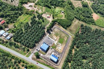 Tanah Sawit 2.9 ekar Kg Sayang Sedili Besar, Tepi Jalan Besar