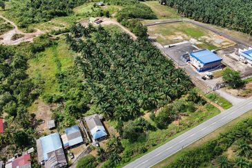 Tanah Sawit 2.9 ekar Kg Sayang Sedili Besar, Tepi Jalan Besar