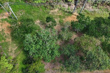 Tanah Sawit 2.9 ekar Kg Sayang Sedili Besar, Tepi Jalan Besar