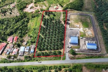 Tanah Sawit 2.9 ekar Kg Sayang Sedili Besar, Tepi Jalan Besar