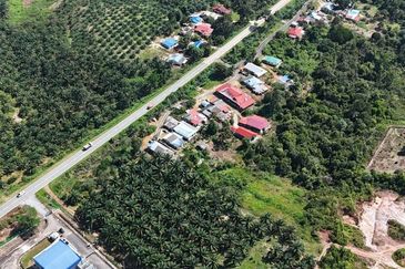 Tanah Sawit 2.9 ekar Kg Sayang Sedili Besar, Tepi Jalan Besar