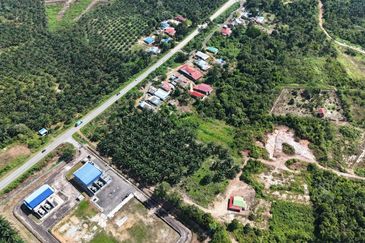 Tanah Sawit 2.9 ekar Kg Sayang Sedili Besar, Tepi Jalan Besar