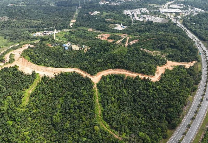 FREEHOLD INT’L LOT 3 Ekar di KG LADANG, TANJUNG KUPANG [MURAH]