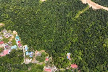 FREEHOLD INT’L LOT 3 Ekar di KG LADANG, TANJUNG KUPANG [MURAH]