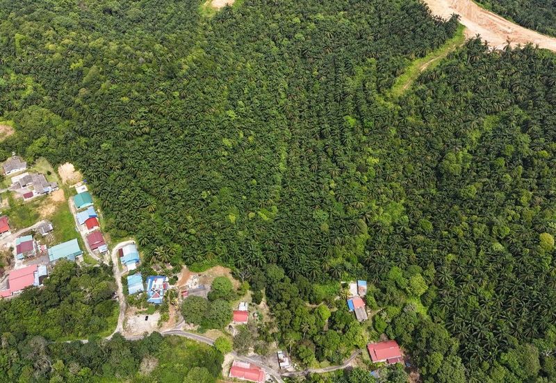 FREEHOLD INT’L LOT 3 Ekar di KG LADANG, TANJUNG KUPANG [MURAH]