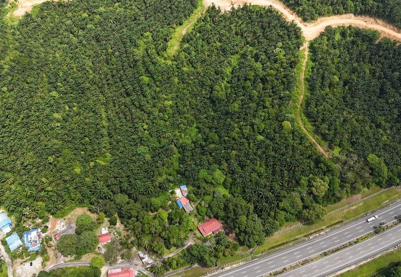 FREEHOLD INT’L LOT 3 Ekar di KG LADANG, TANJUNG KUPANG [MURAH]