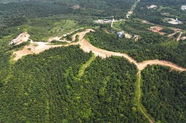 FREEHOLD INT’L LOT 3 Ekar di KG LADANG, TANJUNG KUPANG [MURAH]