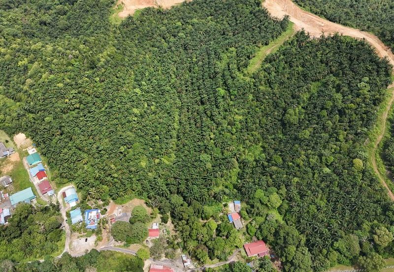 FREEHOLD INT’L LOT 3 Ekar di KG LADANG, TANJUNG KUPANG [MURAH]