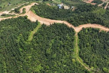 FREEHOLD INT’L LOT 3 Ekar di KG LADANG, TANJUNG KUPANG [MURAH]