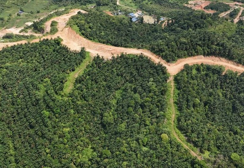 FREEHOLD INT’L LOT 3 Ekar di KG LADANG, TANJUNG KUPANG [MURAH]