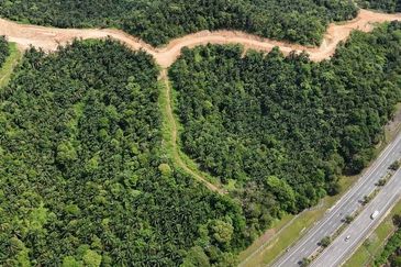 FREEHOLD INT’L LOT 3 Ekar di KG LADANG, TANJUNG KUPANG [MURAH]