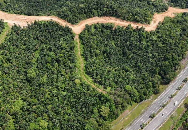 FREEHOLD INT’L LOT 3 Ekar di KG LADANG, TANJUNG KUPANG [MURAH]