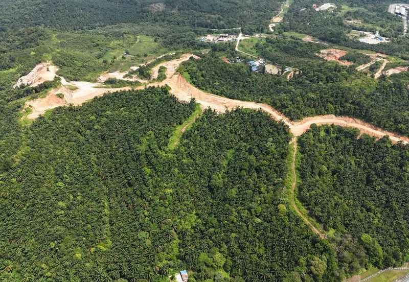 FREEHOLD INT’L LOT 3 Ekar di KG LADANG, TANJUNG KUPANG [MURAH]