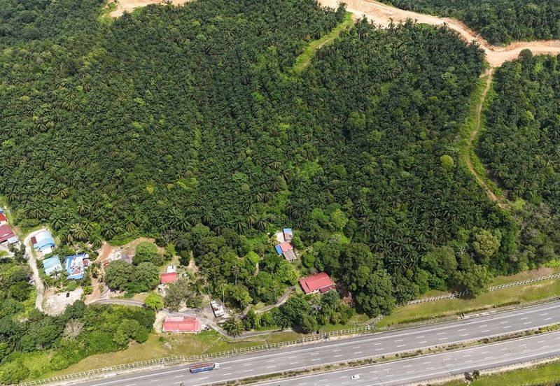 FREEHOLD INT’L LOT 3 Ekar di KG LADANG, TANJUNG KUPANG [MURAH]