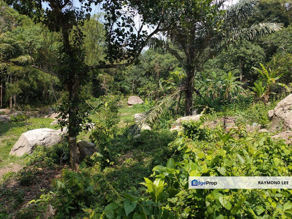 Balik Pulau Sungai Rusa 1 Acre Freehold Land for Sale, Penang, Balik Pulau