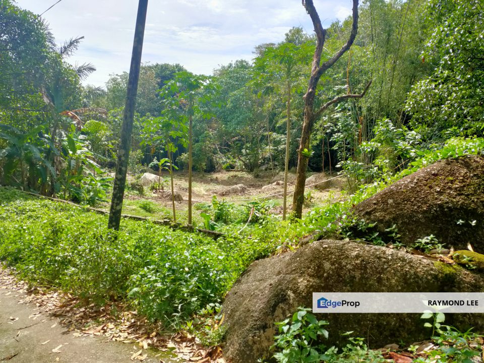 Balik Pulau Sungai Rusa 1 Acre Freehold Land for Sale, Penang, Balik Pulau
