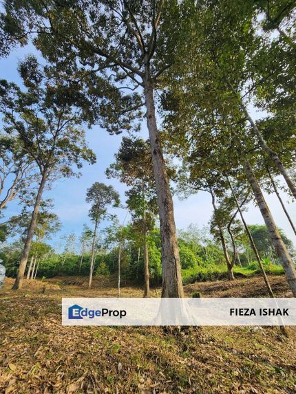 Karak Agriculture Land Durian Farm For Sale, Pahang, Karak