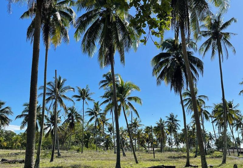 Kampung Jambu Bongkok