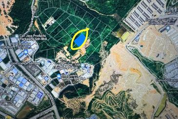 Exceptional Agricultural Land for Sale in Mukim Rawang 