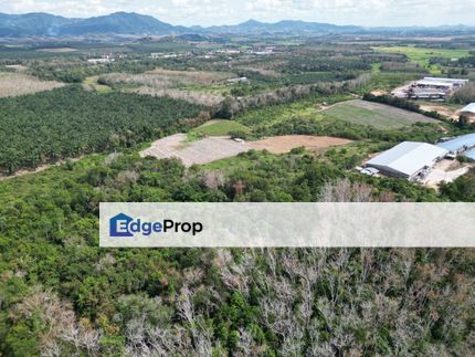 6.44 acre Agricultural Land (Rubber Tree) Sale at Guar Napai Jitra, Kedah, Jitra