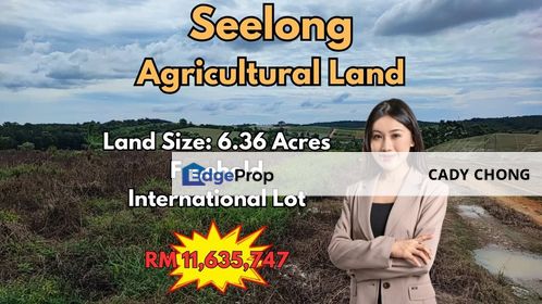 Seelong Agricultural Land For Sale, Johor, Senai