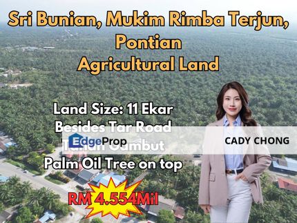 Sri Bunian Rimba Terjun Pontian Agricultural Land For Sale, Johor, Pontian