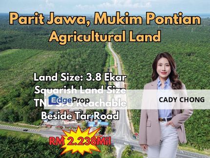 Parit Jawa Mukim Pontian Agricultural Land, Johor, Pontian