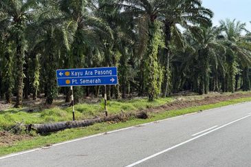 Rimba Terjun Pontian