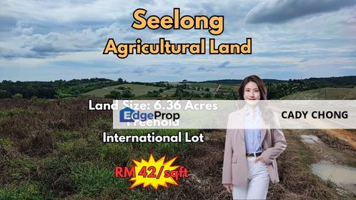 Seelong Agricultural Land For Sale, Johor, Senai