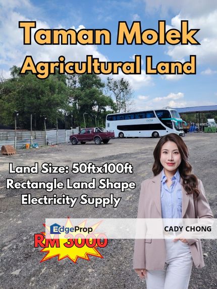 Taman Molek Agricultural Land For Rent, Johor, Johor Bahru
