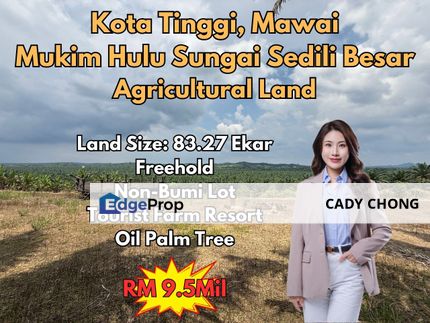 Kota Tinggi Mukim Hulu Sungai Sedili Besar Agricultural Land For Sale, Johor, Kota Tinggi