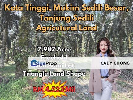 Kota Tinggi Mukim Sedili Besar Tanjung Sedili Agricutural Land For Sale, Johor, Kota Tinggi
