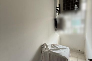 The Seed @ Sutera Utama