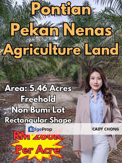 Pontian Pekan Nenas Agriculture Land For Sale, Johor, Pontian