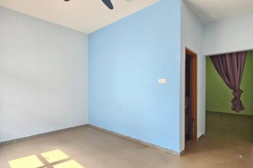 Stulang Laut / Darat