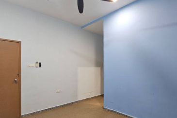 Stulang Laut / Darat