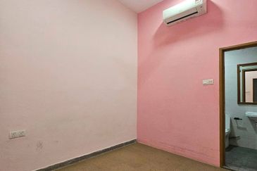 Stulang Laut / Darat