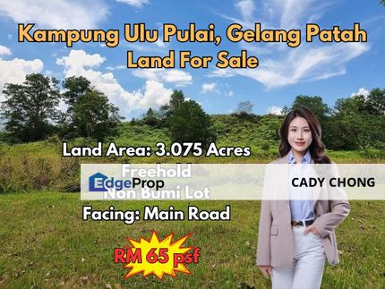 Kampung Ulu Pulai @ Gelang Patah Land For Sale, Johor, Gelang Patah