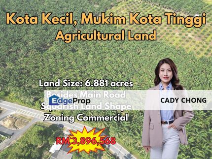 Kota Kecil Mukim Kota Tinggi Agricultural Land For Sale, Johor, Kota Tinggi