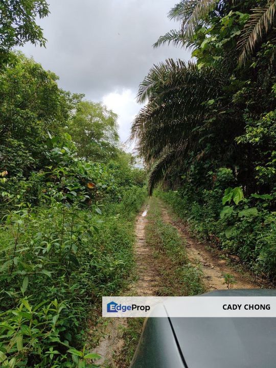 Jalan Sawi @ Senai Agriculture Land For Sale, Johor, Kulai