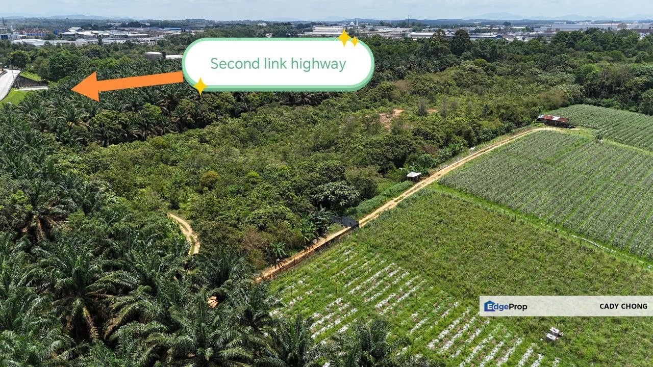 Jalan Sawi @ Senai Agriculture Land For Sale, Johor, Kulai