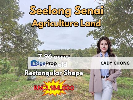 Seelong Senai Agriculture Land For Sale, Johor, Kulai