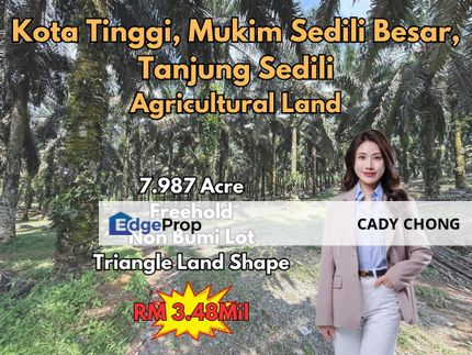 Kota Tinggi Mukim Sedili Besar Tanjung Sedili Agricutural Land For Sale, Johor, Kota Tinggi